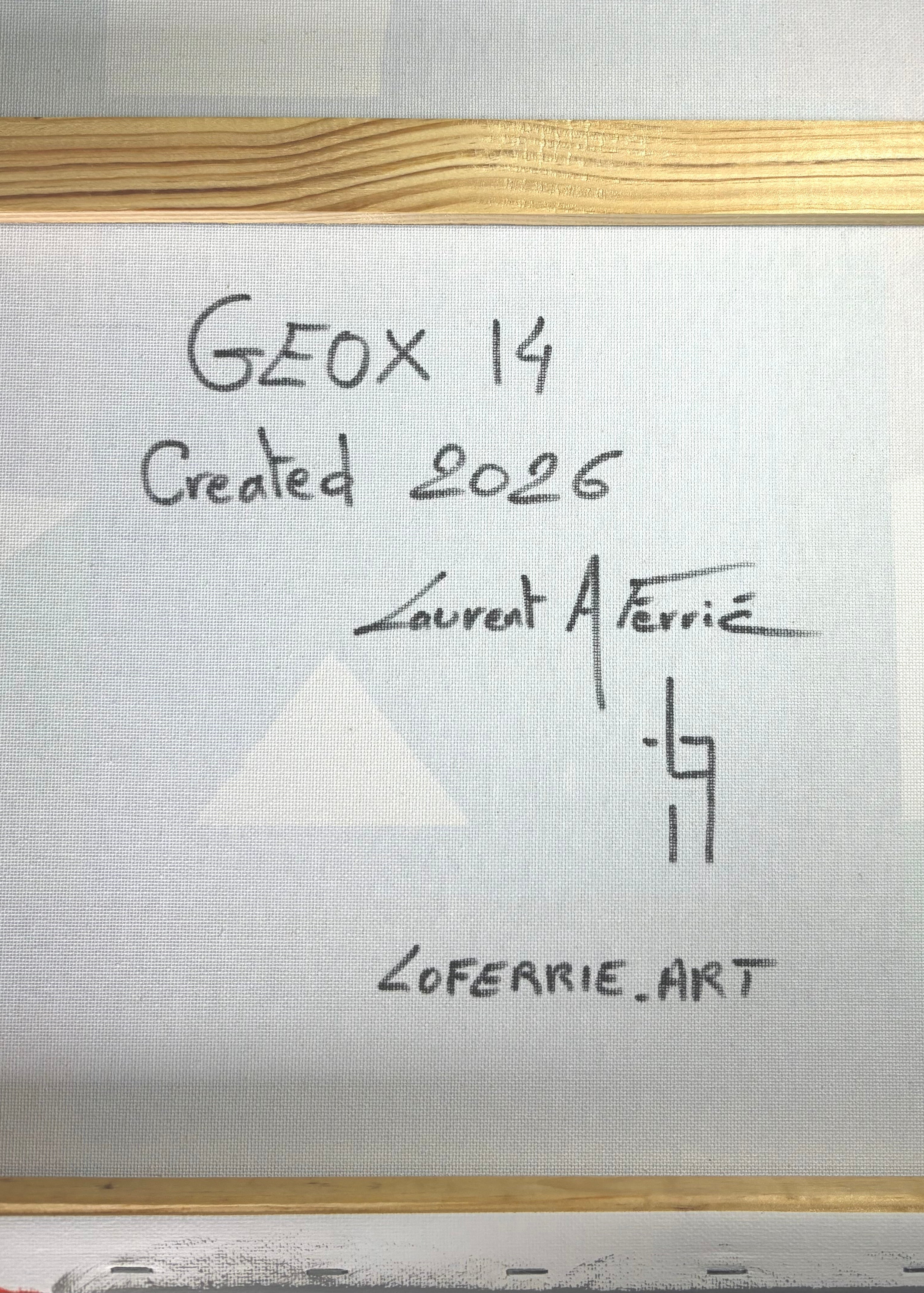 "GEOX 14"